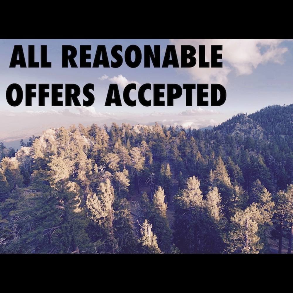 Reasonable Offers Accepted